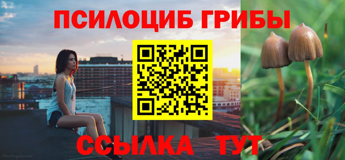 Псилоцибиновые грибы мицелий Красноярск